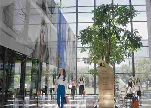 森林舞会光电简介